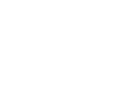 Logo Bombers